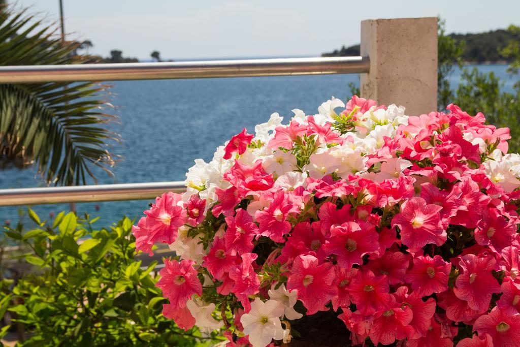 Apartments Villa Julija มาลีโลชินจ์ ห้อง รูปภาพ